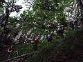 P 03
